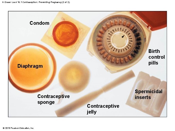 A Closer Look 16. 1 Contraception: Preventing Pregnancy (2 of 2). Condom Birth control