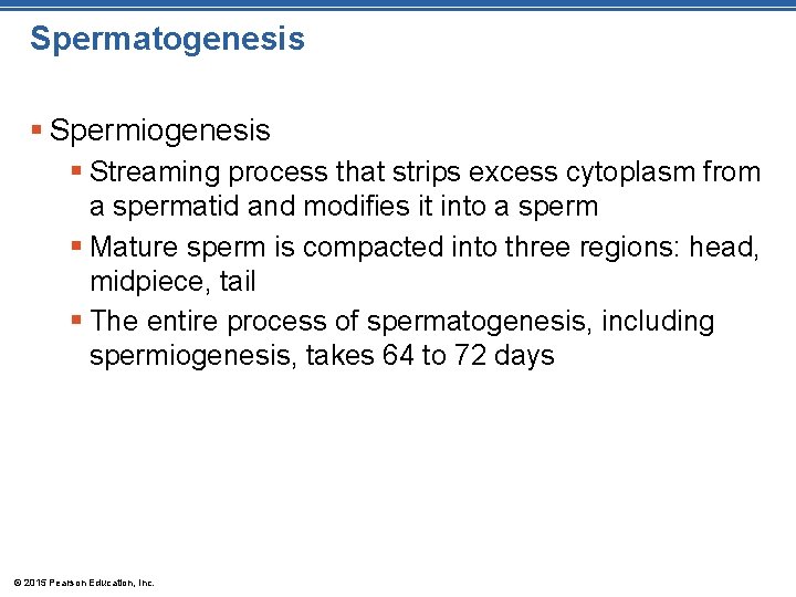 Spermatogenesis § Spermiogenesis § Streaming process that strips excess cytoplasm from a spermatid and