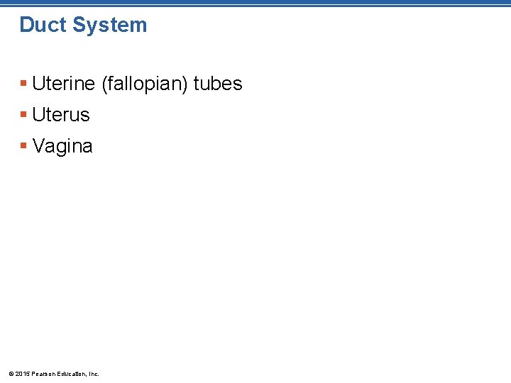 Duct System § Uterine (fallopian) tubes § Uterus § Vagina © 2015 Pearson Education,