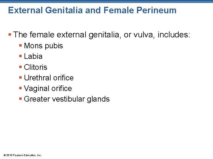 External Genitalia and Female Perineum § The female external genitalia, or vulva, includes: §