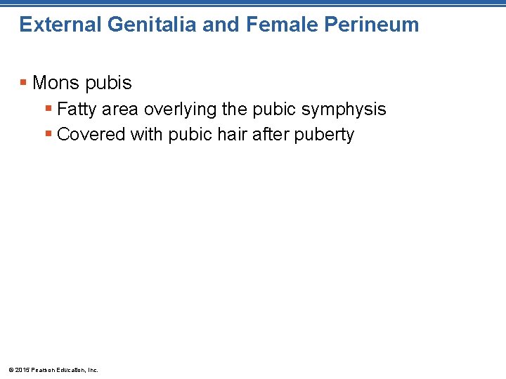 External Genitalia and Female Perineum § Mons pubis § Fatty area overlying the pubic