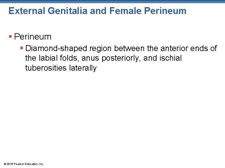 External Genitalia and Female Perineum § Diamond-shaped region between the anterior ends of the