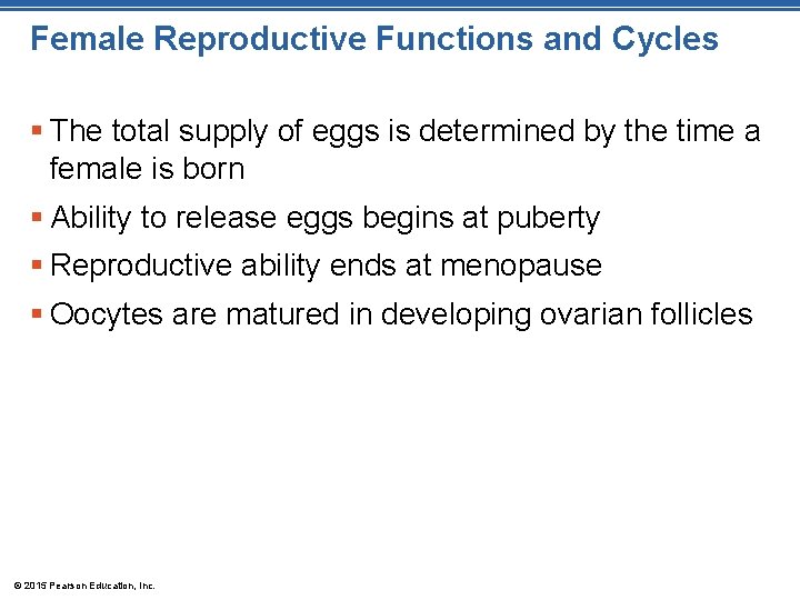 Female Reproductive Functions and Cycles § The total supply of eggs is determined by