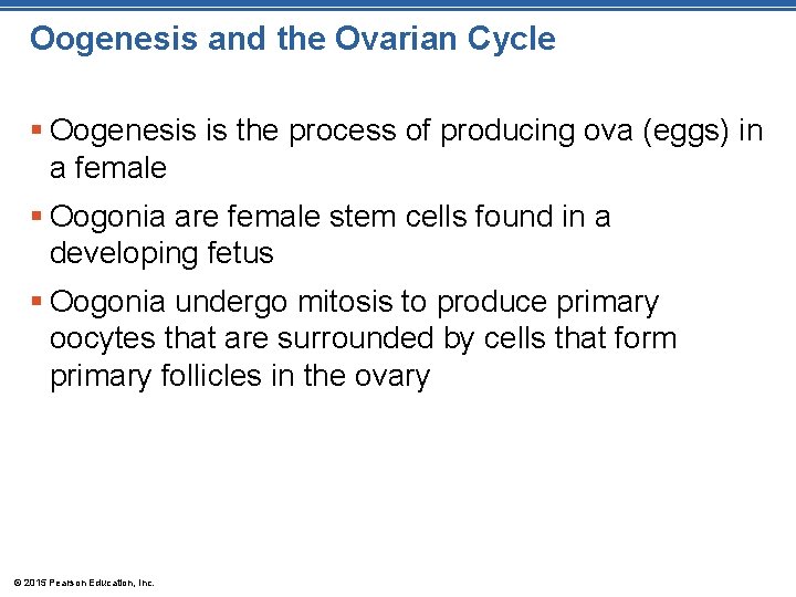 Oogenesis and the Ovarian Cycle § Oogenesis is the process of producing ova (eggs)