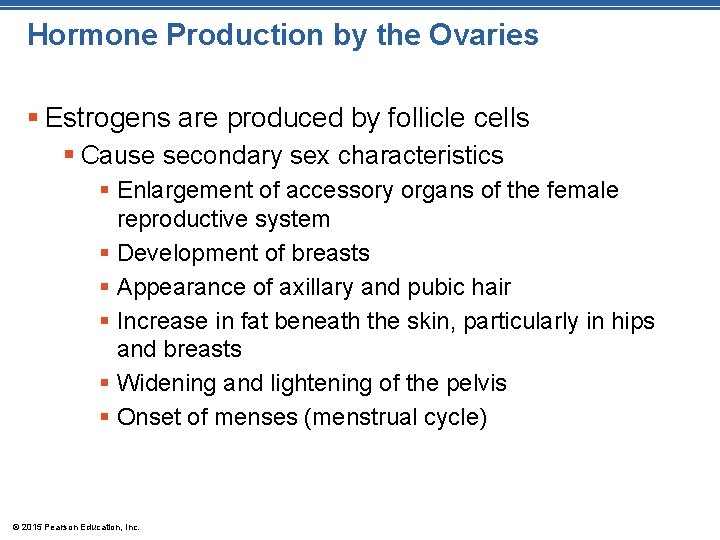 Hormone Production by the Ovaries § Estrogens are produced by follicle cells § Cause