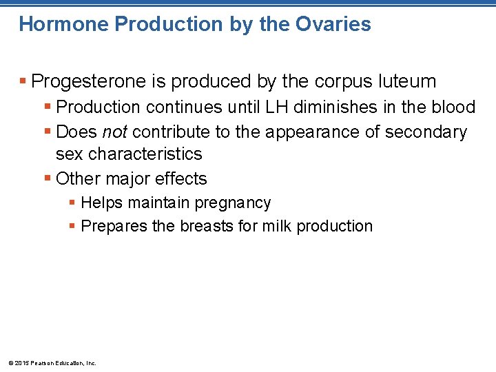 Hormone Production by the Ovaries § Progesterone is produced by the corpus luteum §
