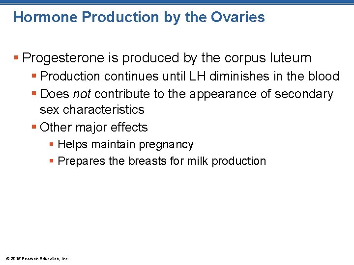 Hormone Production by the Ovaries § Progesterone is produced by the corpus luteum §