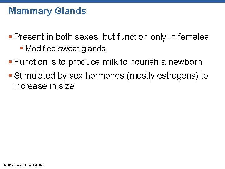 Mammary Glands § Present in both sexes, but function only in females § Modified