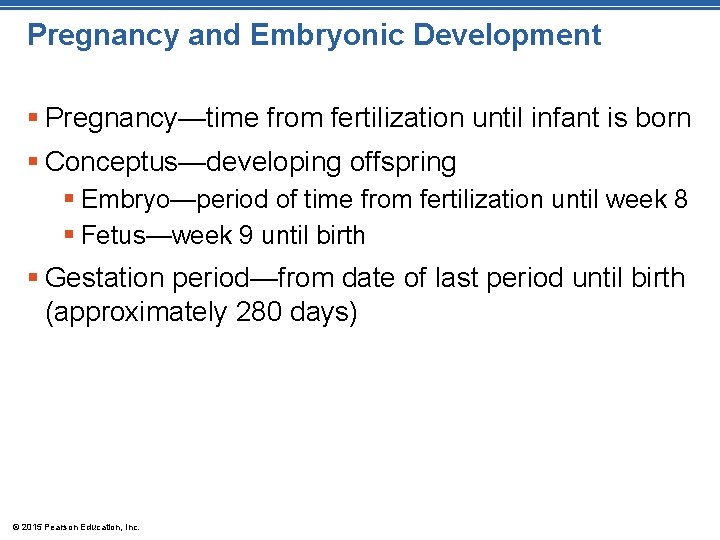 Pregnancy and Embryonic Development § Pregnancy—time from fertilization until infant is born § Conceptus—developing