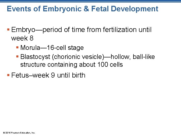 Events of Embryonic & Fetal Development § Embryo—period of time from fertilization until week