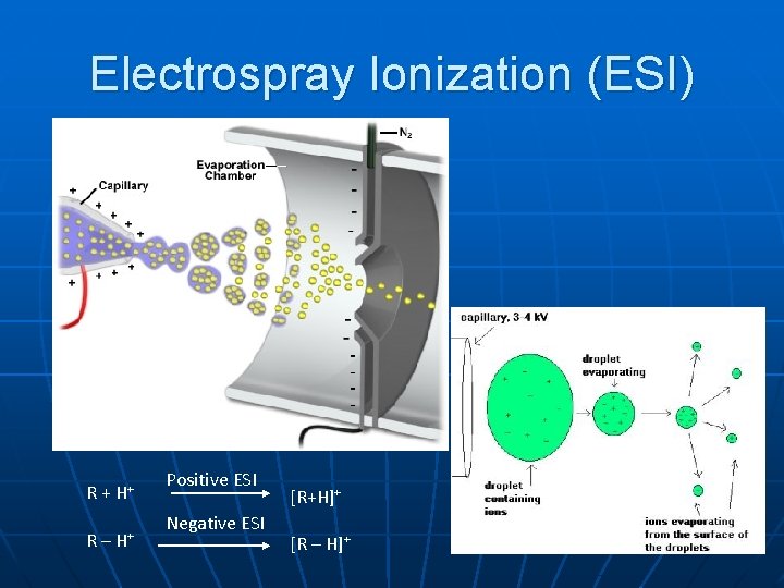 Electrospray Ionization (ESI) R + H+ R– H+ Positive ESI Negative ESI [R+H]+ [R