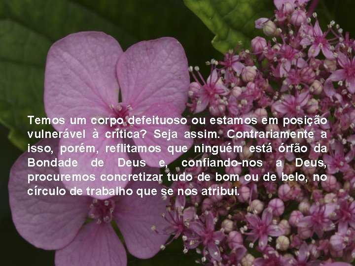 Temos um corpo defeituoso ou estamos em posição vulnerável à crítica? Seja assim. Contrariamente