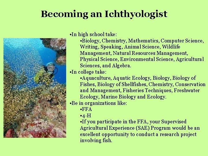 Becoming an Ichthyologist • In high school take: • Biology, Chemistry, Mathematics, Computer Science,