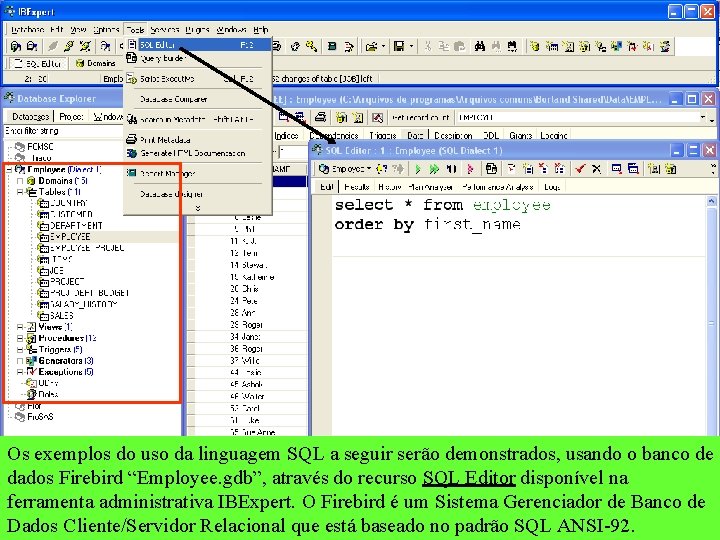 Os exemplos do uso da linguagem SQL a seguir serão demonstrados, usando o banco