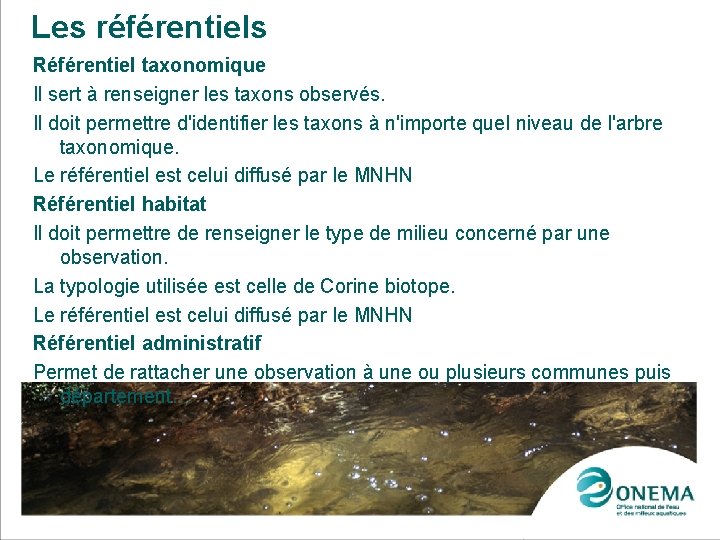 Les référentiels Référentiel taxonomique Il sert à renseigner les taxons observés. Il doit permettre