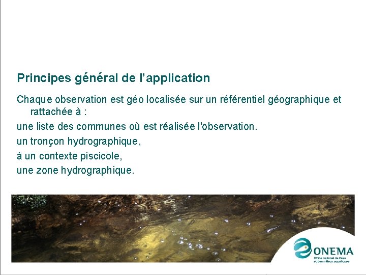 Principes général de l’application Chaque observation est géo localisée sur un référentiel géographique et