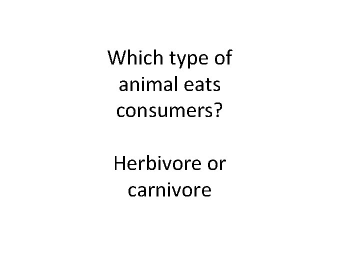 Which type of animal eats consumers? Herbivore or carnivore 