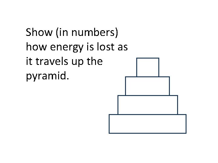 Show (in numbers) how energy is lost as it travels up the pyramid. 