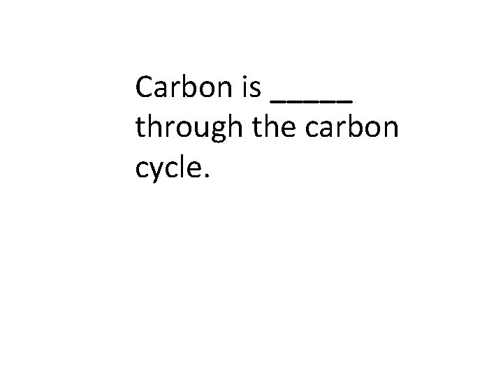 Carbon is _____ through the carbon cycle. 