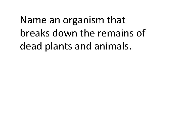 Name an organism that breaks down the remains of dead plants and animals. 