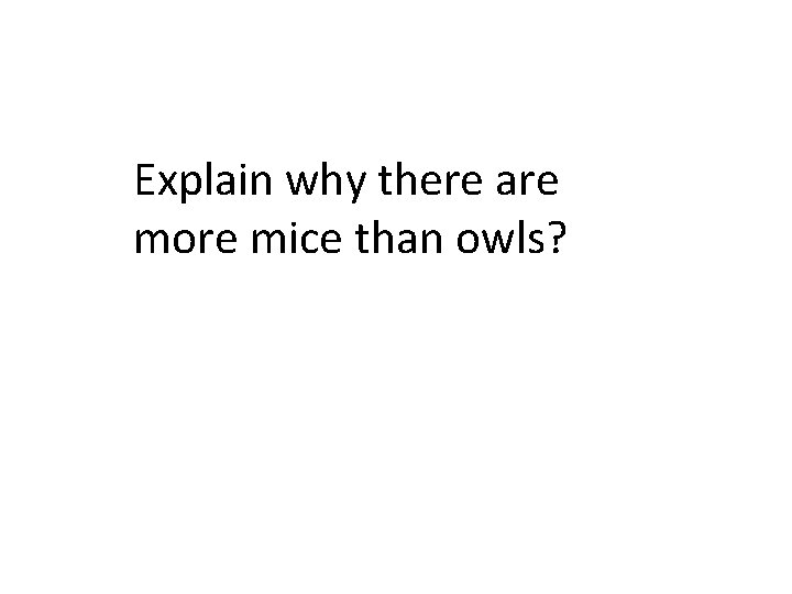 Explain why there are more mice than owls? 