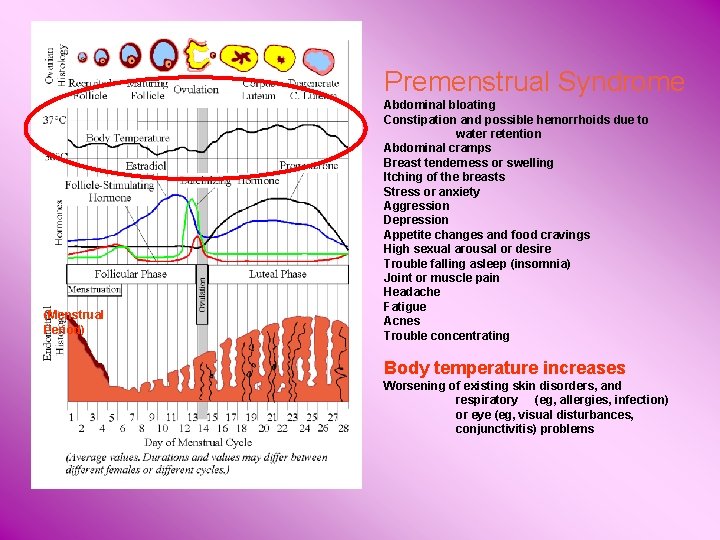 Premenstrual Syndrome (Menstrual Period) Abdominal bloating Constipation and possible hemorrhoids due to water retention