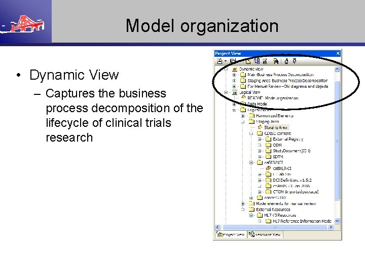 Model organization • Dynamic View – Captures the business process decomposition of the lifecycle