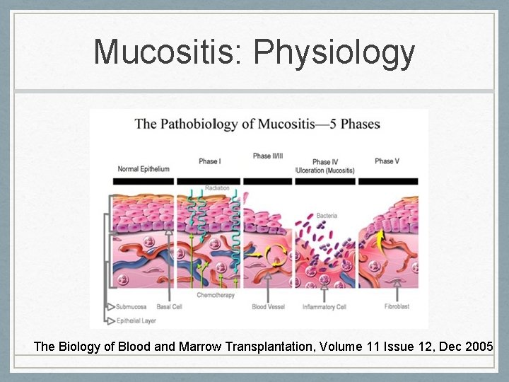 Mucositis: Physiology The Biology of Blood and Marrow Transplantation, Volume 11 Issue 12, Dec