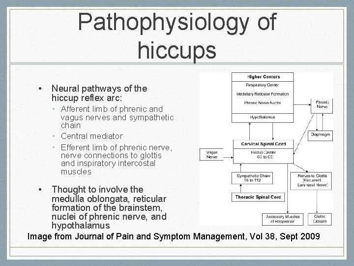 Pathophysiology of hiccups • Neural pathways of the hiccup reflex arc: • Afferent limb