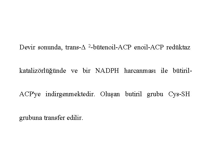 Devir sonunda, trans-Δ 2 -bütenoil-ACP redüktaz katalizörlüğünde ve bir NADPH harcanması ile bütiril. ACP'ye