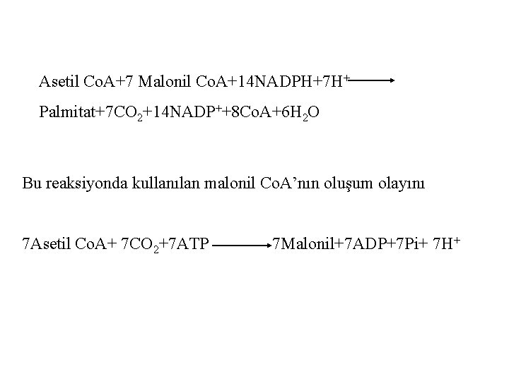 Asetil Co. A+7 Malonil Co. A+14 NADPH+7 H+ Palmitat+7 CO 2+14 NADP++8 Co. A+6