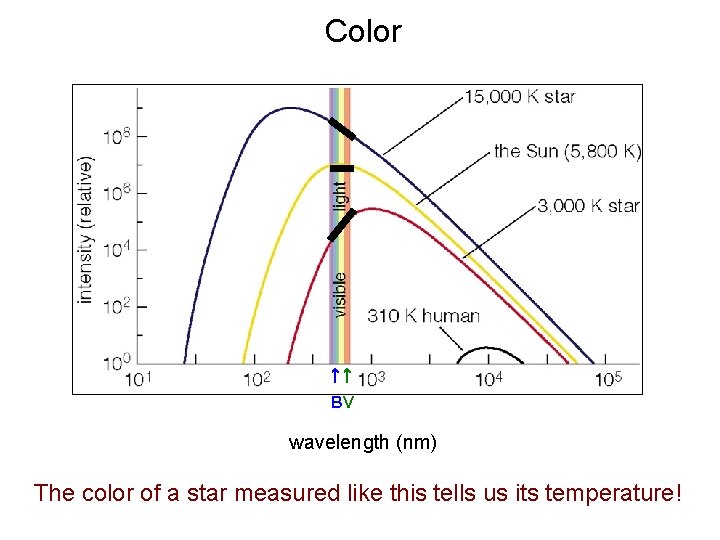 Color ↑↑ BV wavelength (nm) The color of a star measured like this tells