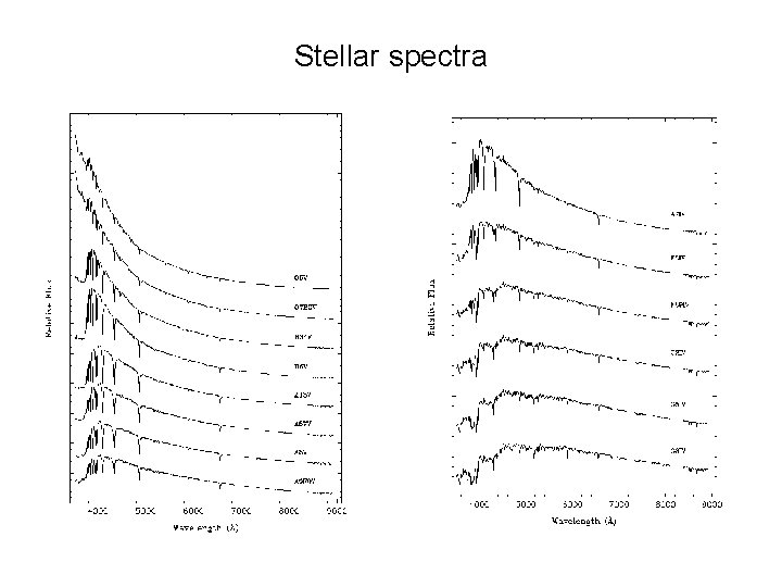 Stellar spectra 