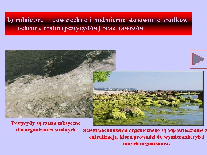 b) rolnictwo – powszechne i nadmierne stosowanie środków ochrony roślin (pestycydów) oraz nawozów Pestycydy