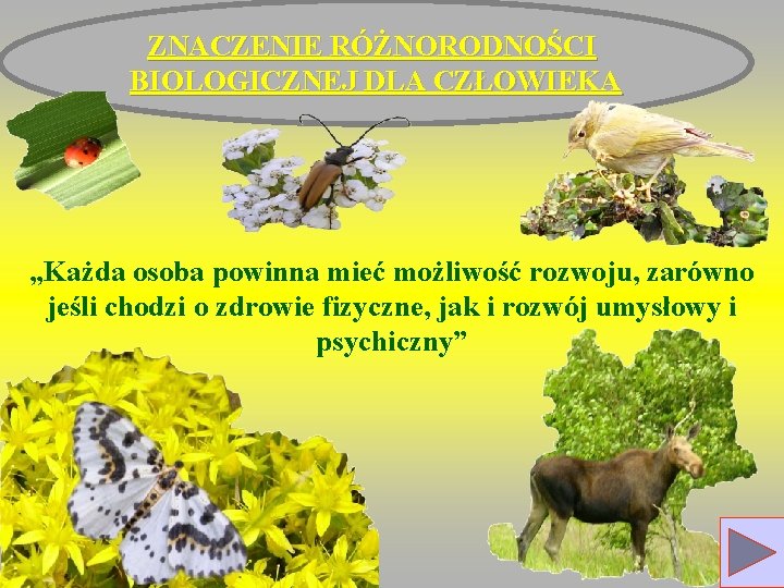 ZNACZENIE RÓŻNORODNOŚCI BIOLOGICZNEJ DLA CZŁOWIEKA „Każda osoba powinna mieć możliwość rozwoju, zarówno jeśli chodzi