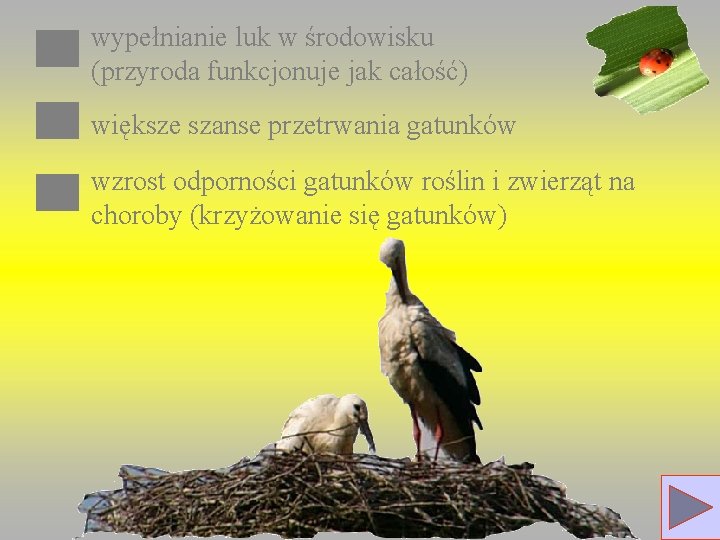 wypełnianie luk w środowisku (przyroda funkcjonuje jak całość) większe szanse przetrwania gatunków wzrost odporności