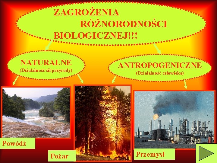 ZAGROŻENIA RÓŻNORODNOŚCI BIOLOGICZNEJ!!! NATURALNE (Działalność sił przyrody) ANTROPOGENICZNE (Działalność człowieka) Powódź Pożar Przemysł 