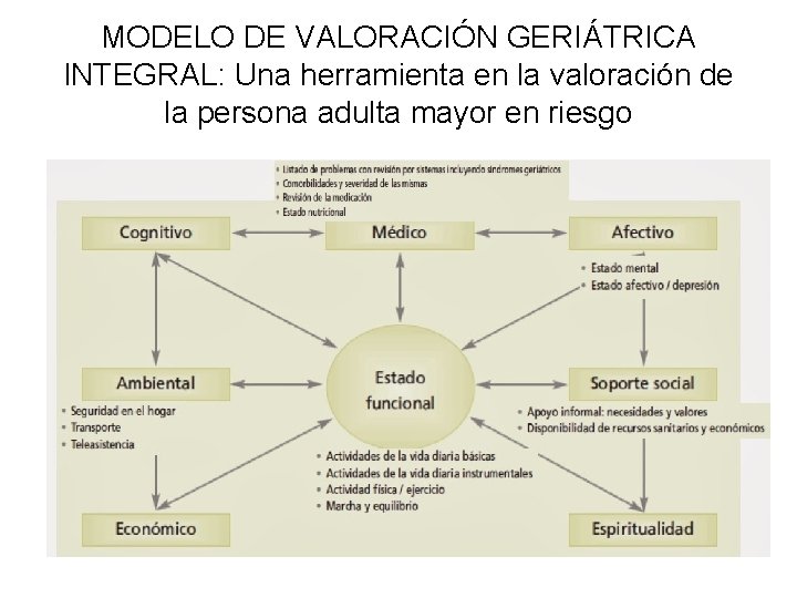 MODELO DE VALORACIÓN GERIÁTRICA INTEGRAL: Una herramienta en la valoración de la persona adulta