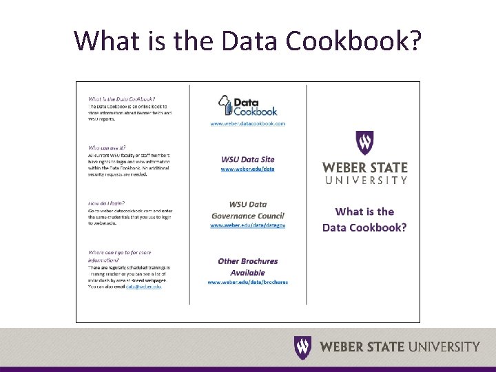 What is the Data Cookbook? 