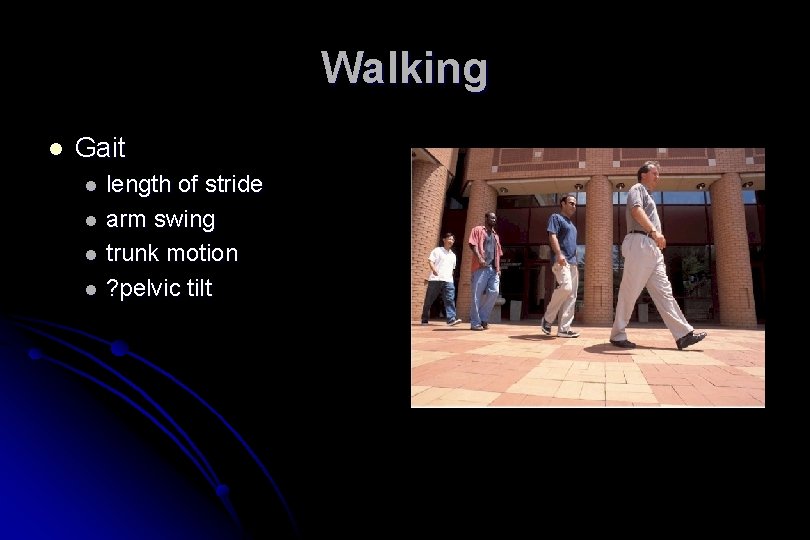 Walking l Gait l l length of stride arm swing trunk motion ? pelvic