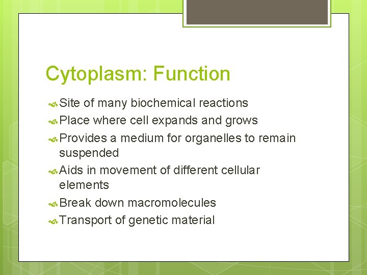Cytoplasm: Function Site of many biochemical reactions Place where cell expands and grows Provides