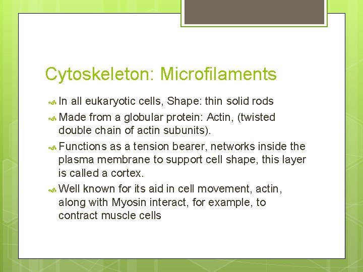 Cytoskeleton: Microfilaments In all eukaryotic cells, Shape: thin solid rods Made from a globular