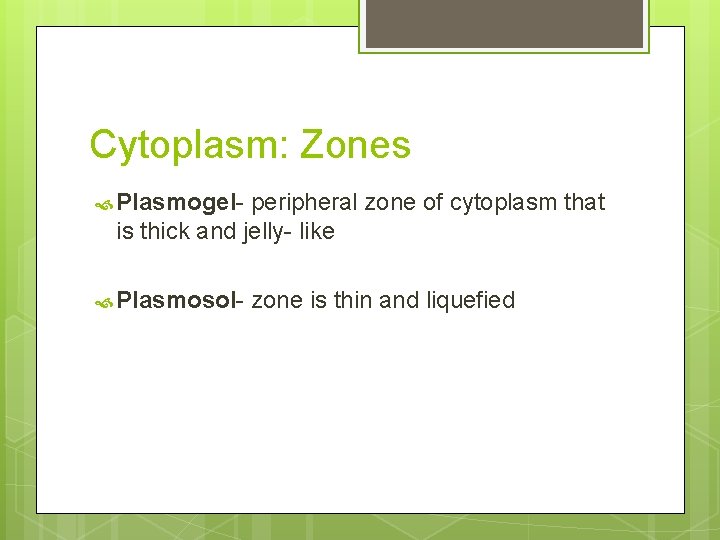 Cytoplasm: Zones Plasmogel- peripheral zone of cytoplasm that is thick and jelly- like Plasmosol-