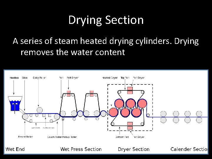 Drying Section A series of steam heated drying cylinders. Drying removes the water content