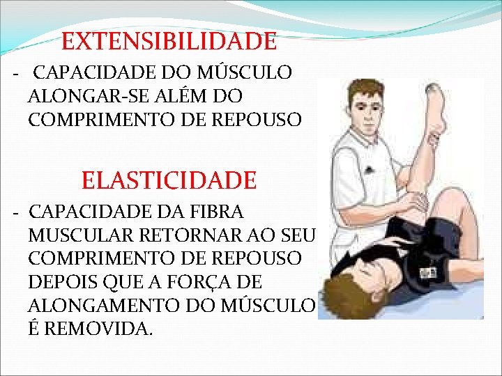 EXTENSIBILIDADE - CAPACIDADE DO MÚSCULO ALONGAR-SE ALÉM DO COMPRIMENTO DE REPOUSO ELASTICIDADE - CAPACIDADE