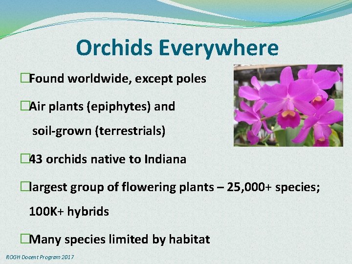 Orchids Everywhere �Found worldwide, except poles �Air plants (epiphytes) and soil-grown (terrestrials) � 43