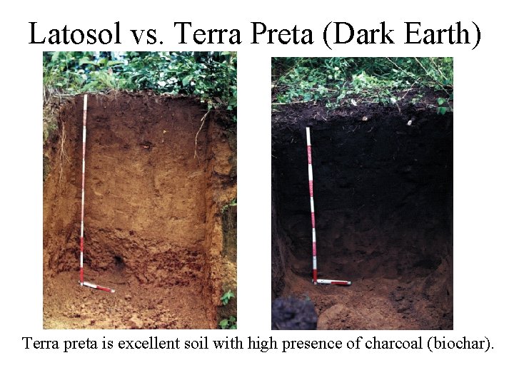 Latosol vs. Terra Preta (Dark Earth) Terra preta is excellent soil with high presence