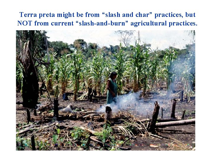 Terra preta might be from “slash and char” practices, but NOT from current “slash-and-burn”