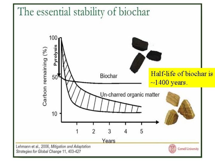 Half-life of biochar is ~1400 years. 