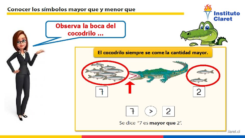 Observa la boca del cocodrilo … 